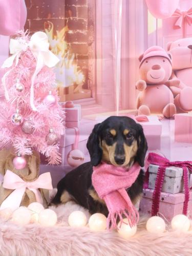 20241225おうたくん